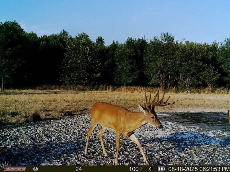 thumb-08fa838afdaa98226339c5d33a899e870514affa