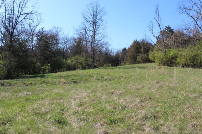 026 mid elevation field in the southwest area of the property