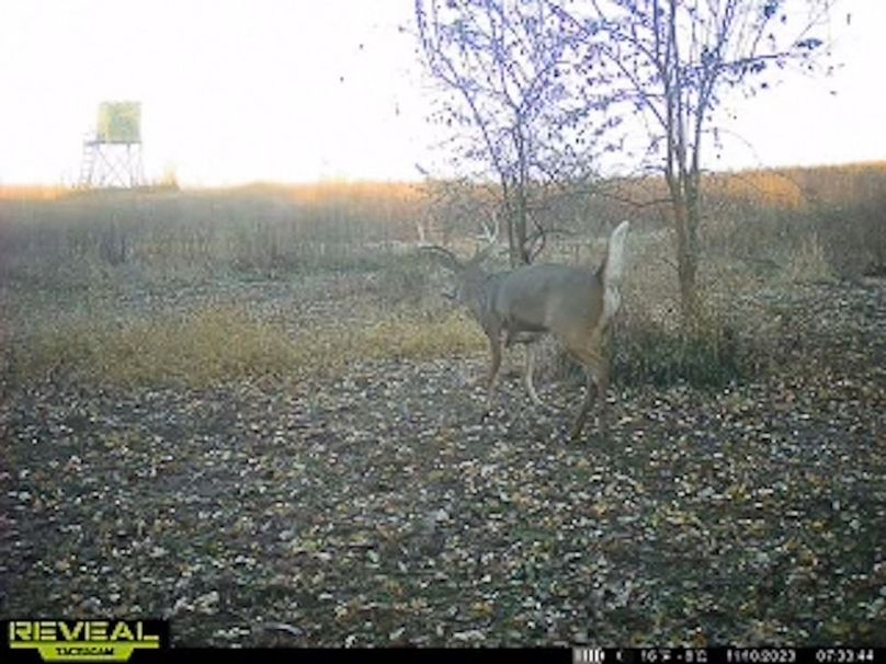 865509050418056-50-4-11102023073409-W1003220