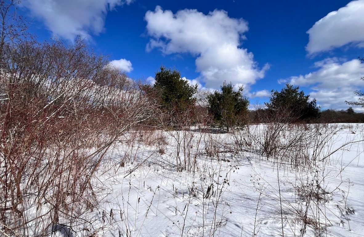 Oswego_10.76_Somberg Photo 4