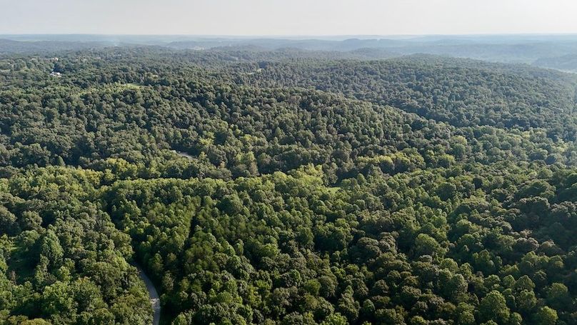 dji_fly_20250819_093422_0584_1755617546373_photo