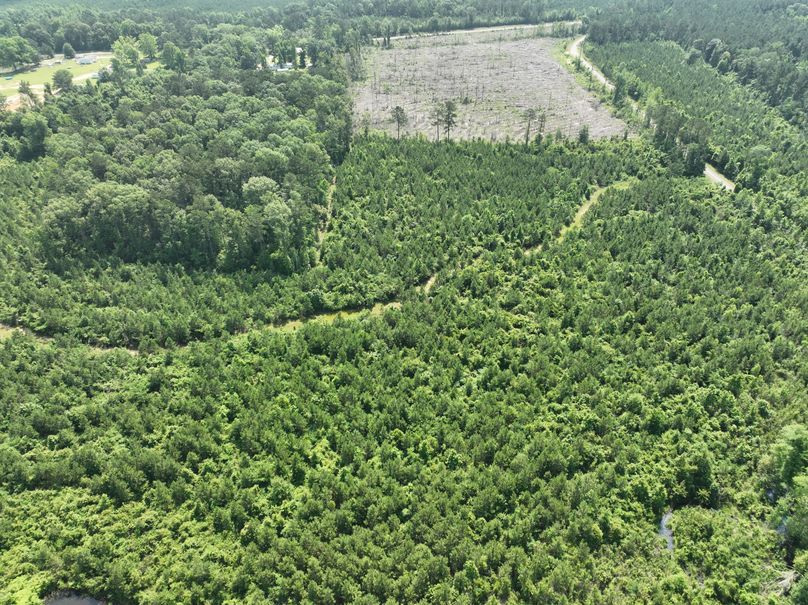 dji_fly_20230516_110034_114_1684333495425_photo