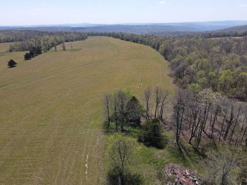 dji_fly_20260408_131928_436_1775672393991_photo