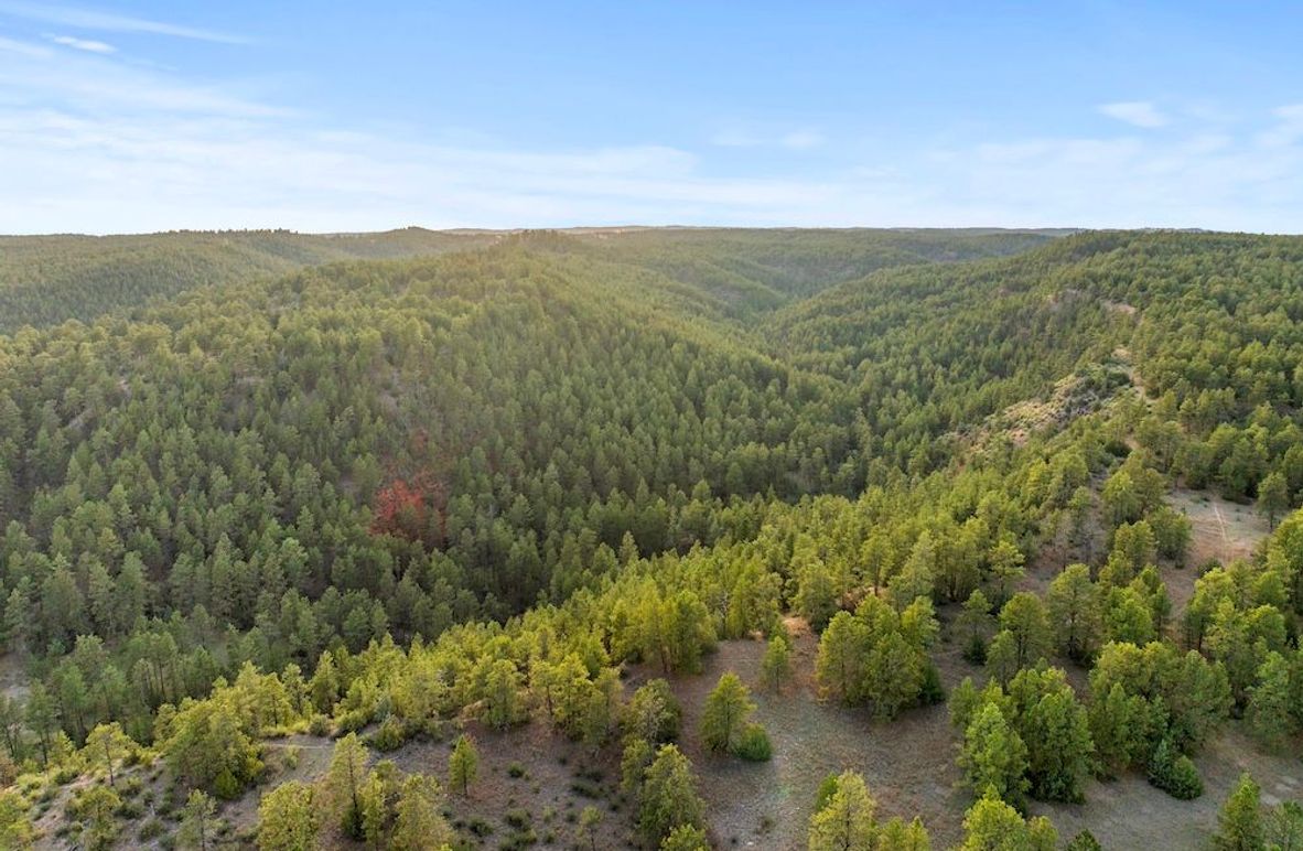 1-23-DJI_20250507185239_0775_D