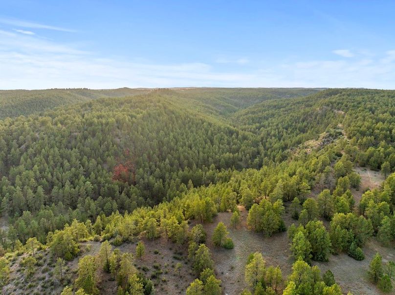 1-23-DJI_20250507185239_0775_D