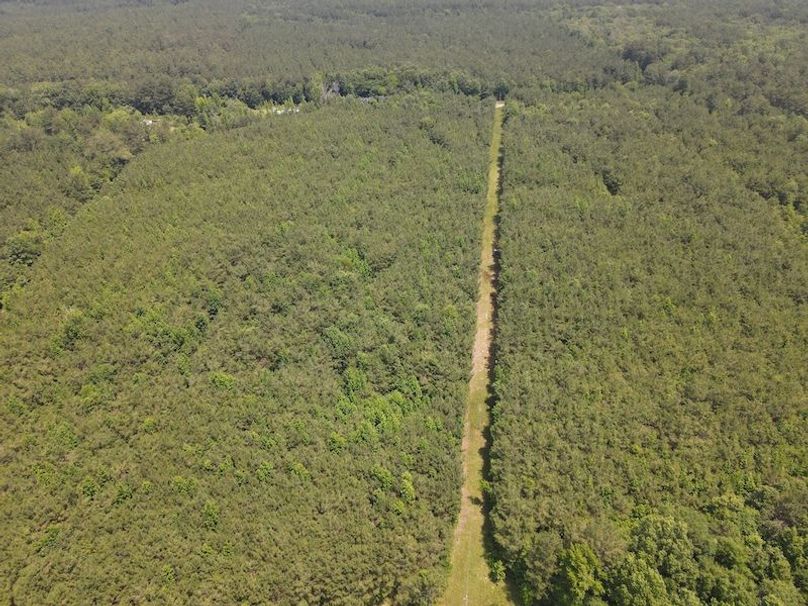 Copy of DJI_0882
