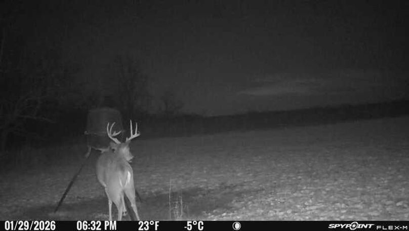Trail Cam 10