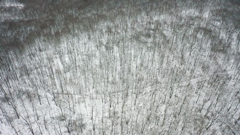 DJI_0345