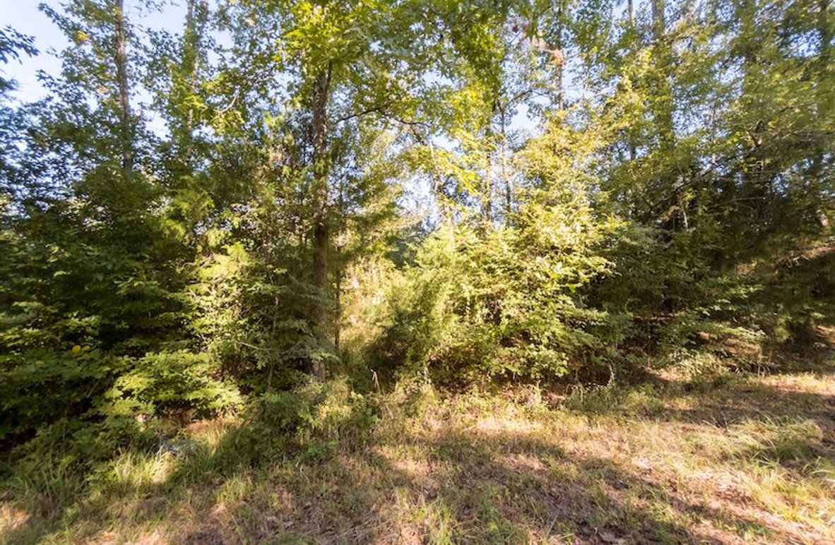 Hinds Co - 3.94 - Newman-2