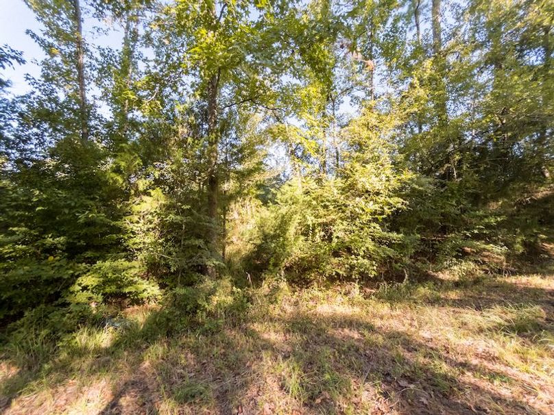 Hinds Co - 3.94 - Newman-2