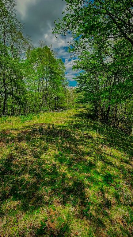 Doddridge, WV 64.69 AC Davis-24