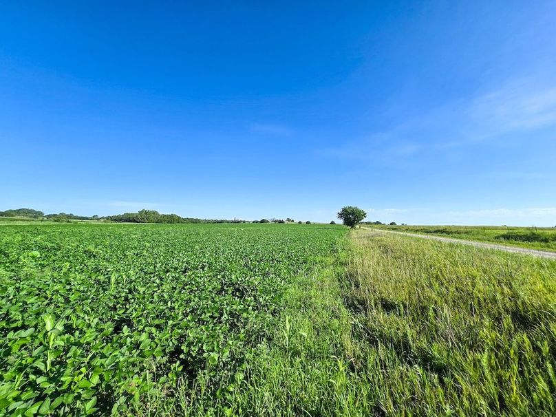 Copy of 20250729_085628