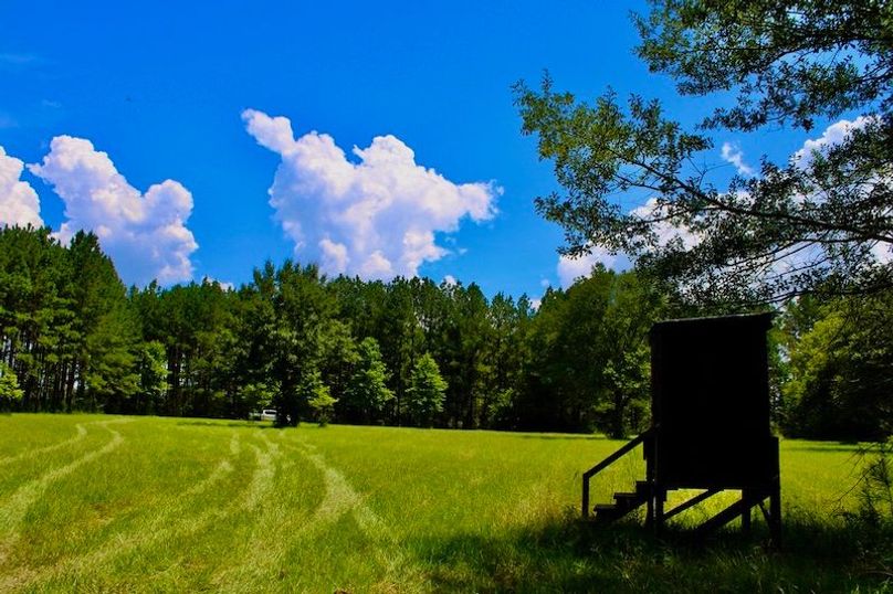 FBC6073B-90C0-4C6E-8C0C-424A95B40298_1_105_c