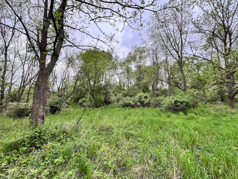 Chemung_3.5_Rouseland Photo 2