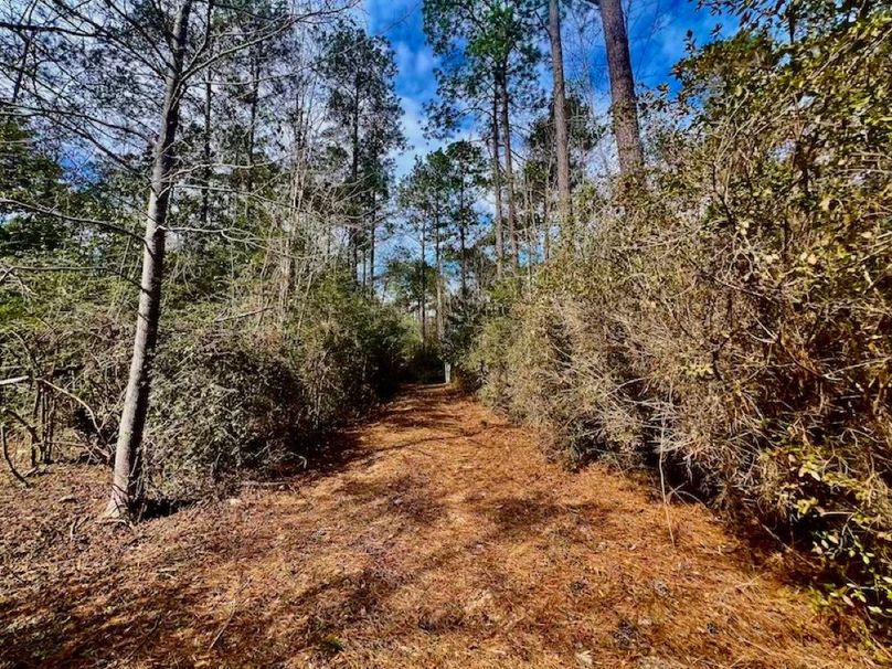 15CAAEDC-EB0E-435D-81BF-380E09204A5D_1_201_a