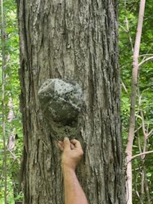 IMG_3302_1705590870782