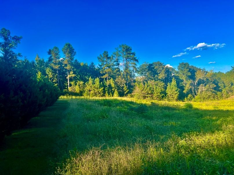 78A144AB-7025-4320-8AED-E9A96AD3BD3E_1_201_a