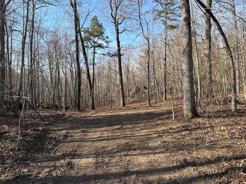 DJI_20260113_145508_124