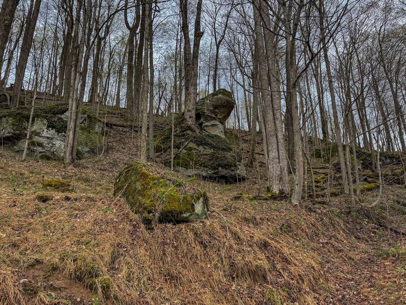 Wirt, WV 39.564 AC Full-10