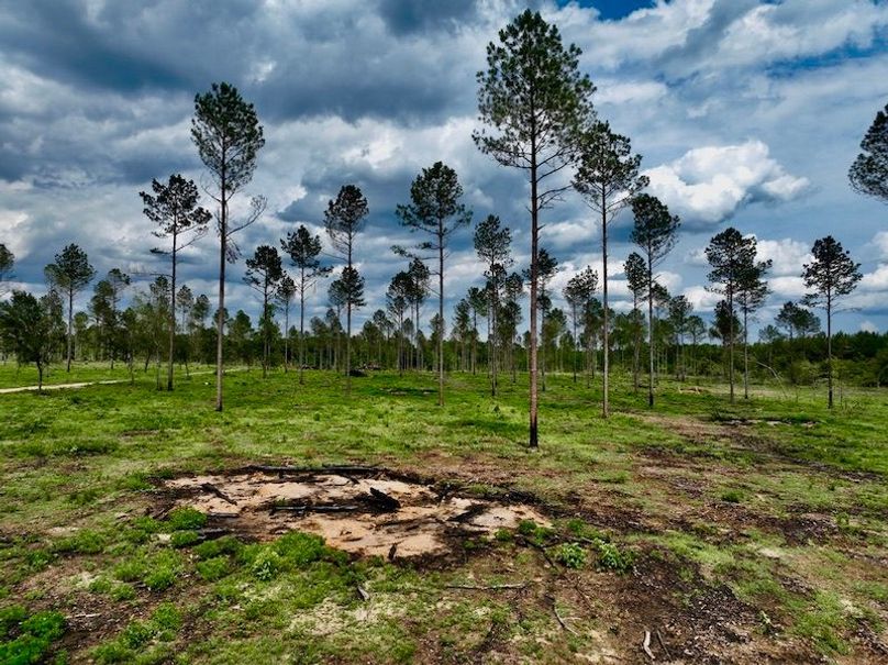 C58F5B2B-D6B4-47E0-9AED-1B2677B43D87_1_105_c