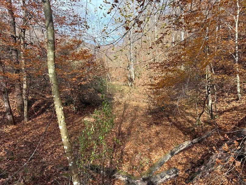 004 Bottom leading up Hollow