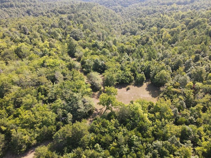 dji_fly_20240808_095358_304_1723128900139_photo