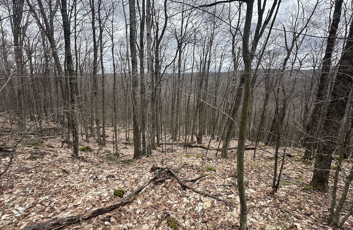 Photo Apr 22 2025, 1 02 49 PM