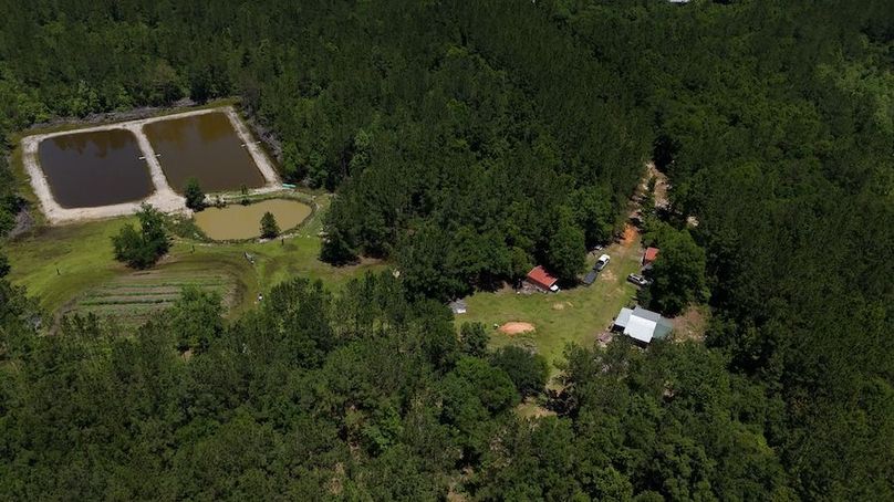 DJI_20240516124722_0029_D