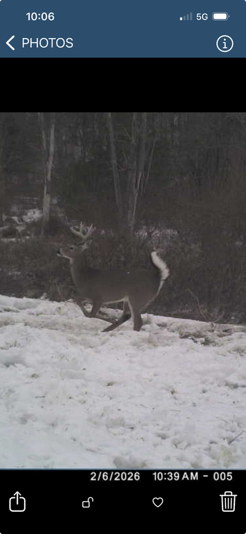 Screenshot 2026-04-02 at 10.06.48 AM