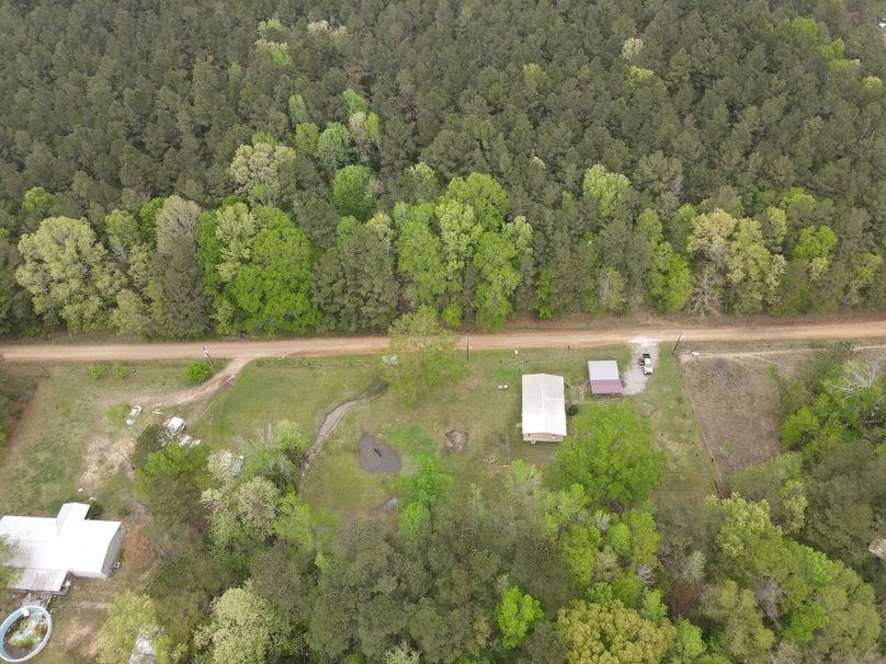 dji_fly_20250401_152346_511_1743539037501_photo 3
