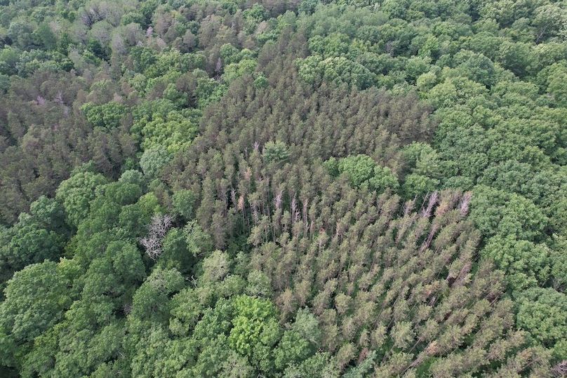 Oswego_22.46-Ross-French_Photos_19