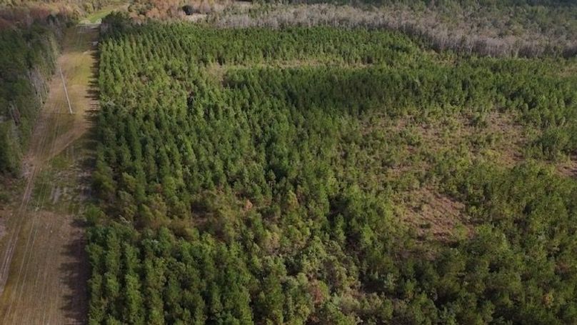 DJI_20231026105457_0011_D