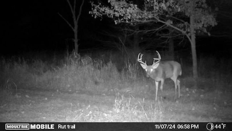 Temp_731870-20241108010131-20241107185845_005002