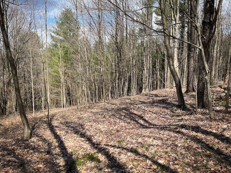 Tioga__NY_109.7_Burris_Photos_36