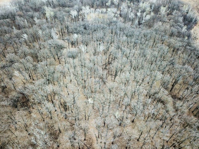 DJI_0023