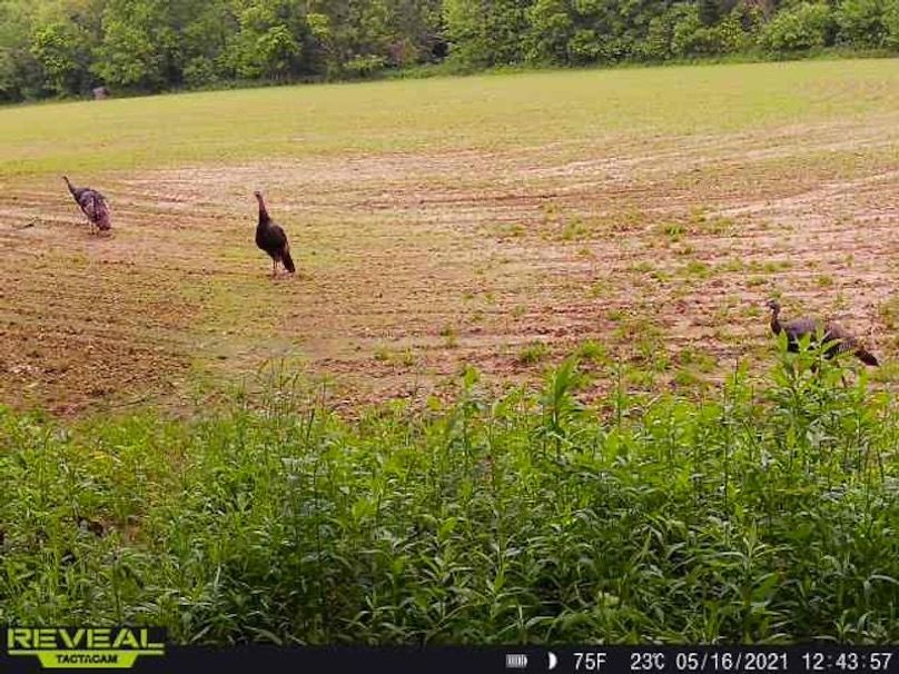 865519049947982-100-4-05162021124356-W1008812