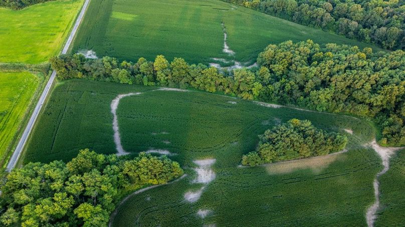 Copy of DJI_20250806063257_0075_D Large