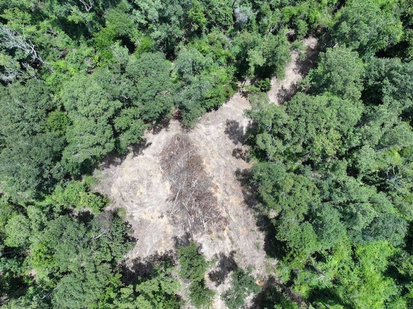 dji_fly_20250708_125824_0255_1752089864016_photo