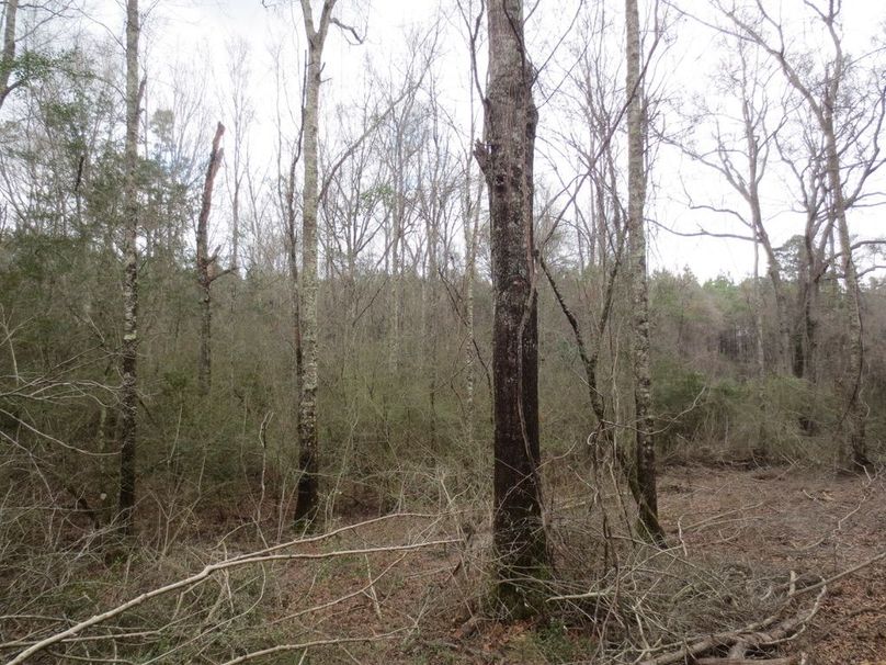 639B8A61-331B-45BE-B43F-7B3D87433F07_1_105_c