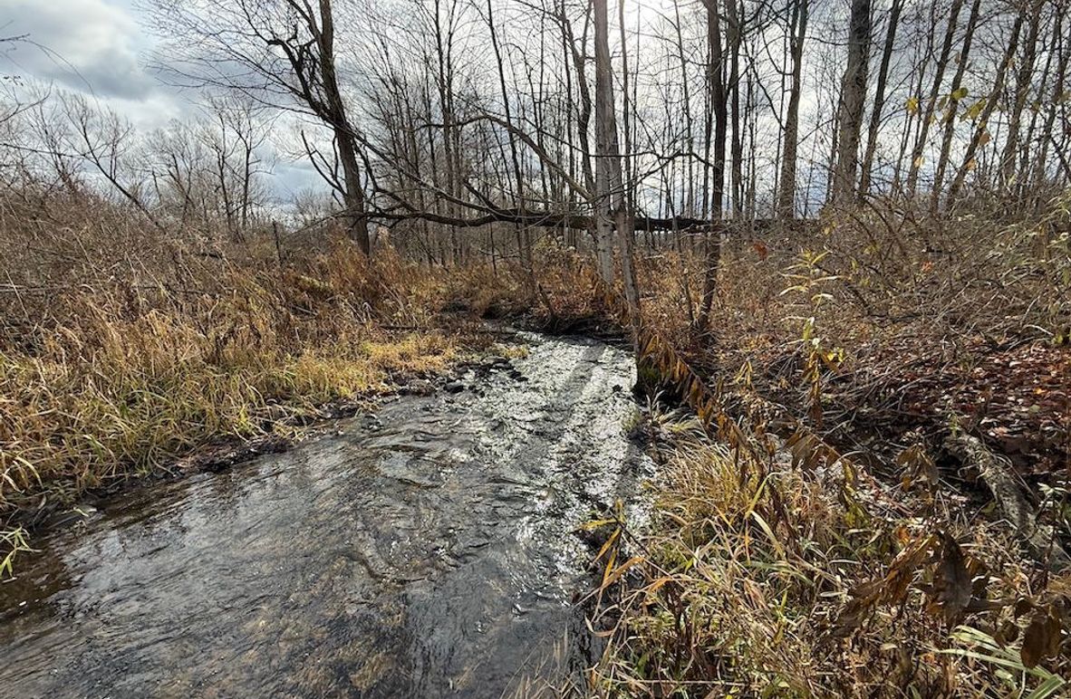 Tompkins_15.15_Galarza Photo 5