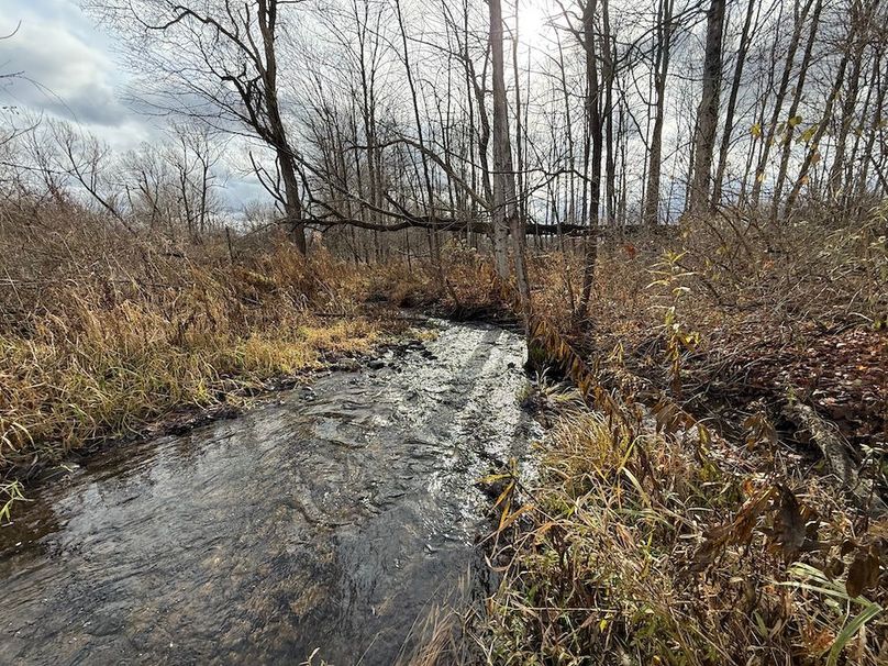 Tompkins_15.15_Galarza Photo 5