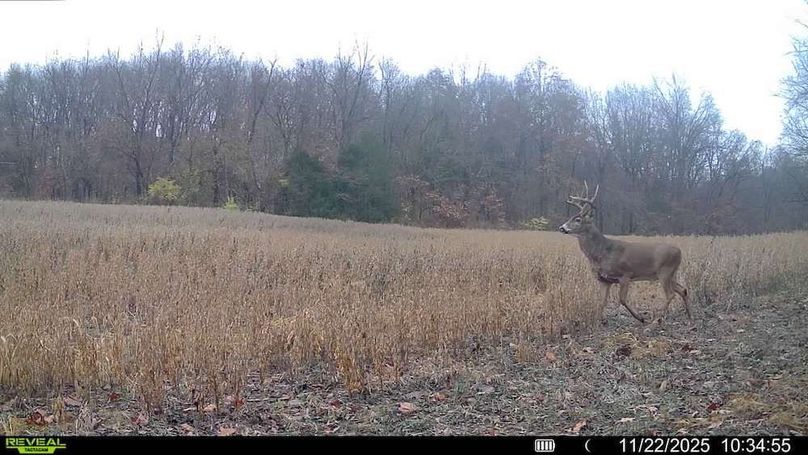 016578002608922-100-4-11222025103455-V-SYFW11159