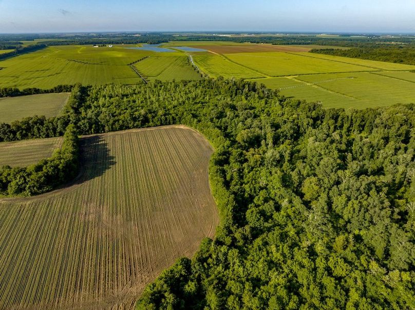 Copy of Noxubee 70 +- Tract 3-30