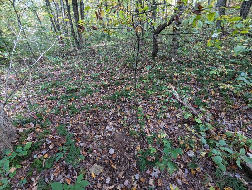 PXL_20231004_191323951