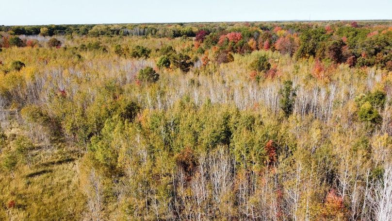 dji_fly_20241010_133830_435_1728585620835_photo_optimized