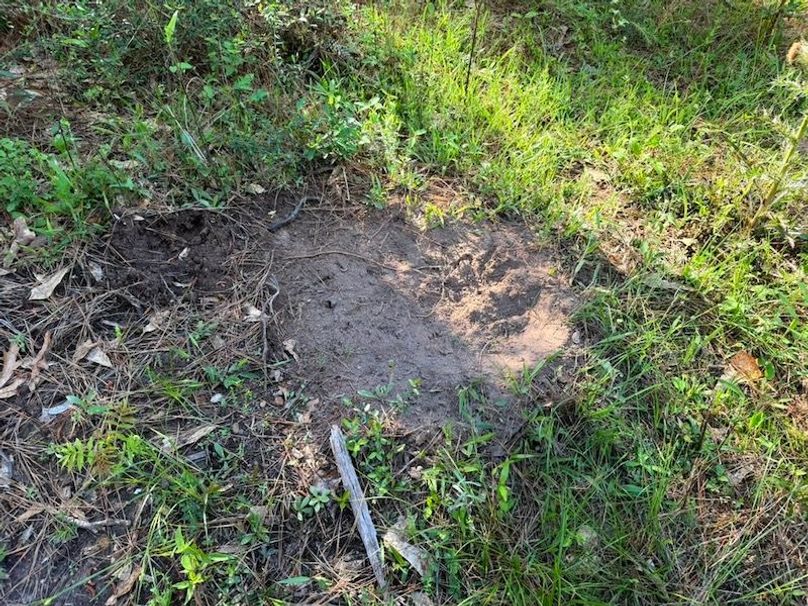 1F323FFD-D200-462A-88B3-821716292073_1_105_c