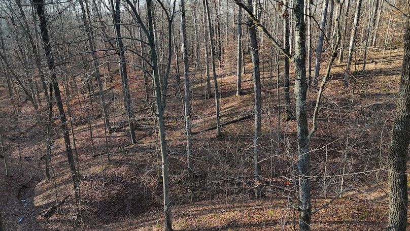 DJI_20251209153301_0701_D