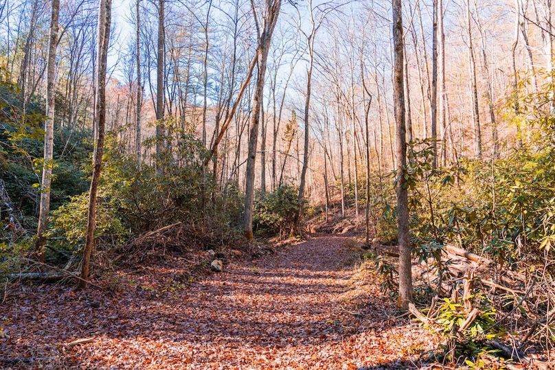 Many miles of jeep trails