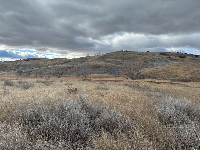 E667E1C7-8CE1-4285-A0BA-30CDBE14248B