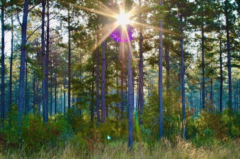 AD89DCAF-A4BC-4975-A2AA-11B59E7D3328_1_105_c